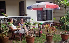 Dream Nest Guest House Alleppey